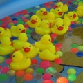 ９月１１日・１２日　ウエシン祭開催！をもっと見る