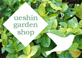 shop_information_01