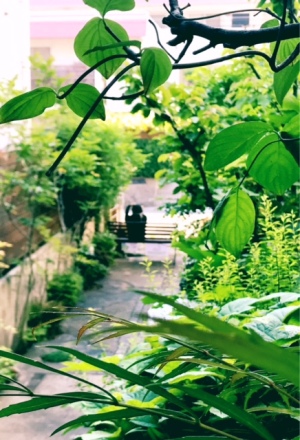 17052500