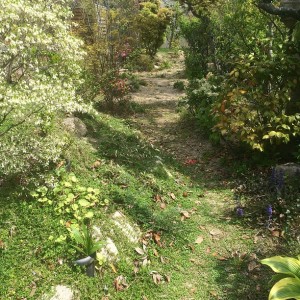 2016-04-11 11.08.4112