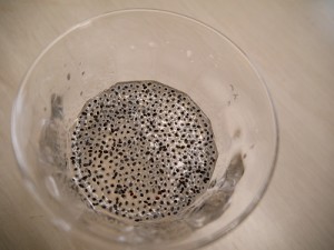 s-バジル種